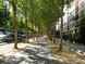  trottoir ombragé, bd Saint-Jacques, 14e